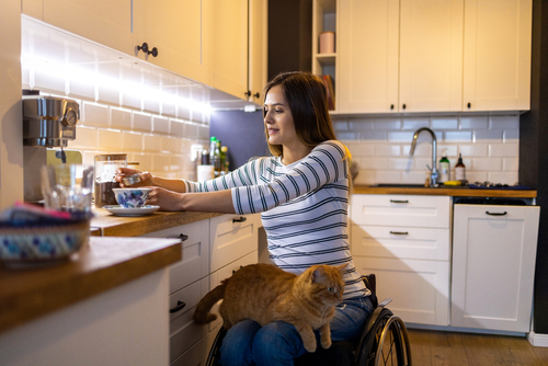 missioncatsfoundation cat care