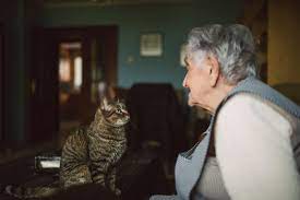 missioncatsfoundation cat love seniors