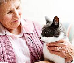 missioncatsfoundation senior adopt cats