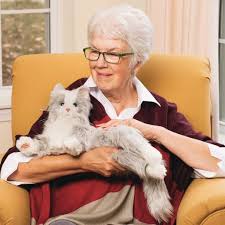 missioncatsfoundation senior holding white cat